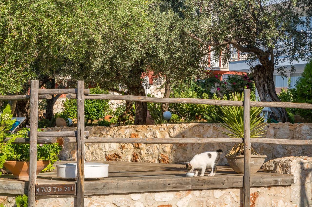 Oasis Hotel (Adults Only) Kalkan Exterior photo